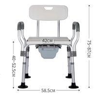 YC527C with toilet bowl
