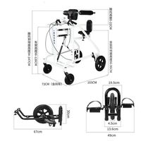 2)Luxury Standing and Walking All-in-One