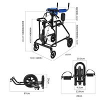2)Electric Luxury Model Standing and