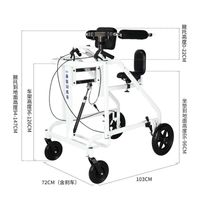 1)Luxury Standing and Walking All-in-One