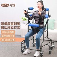 Walking aid KFZX623