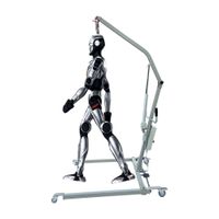 Robot Hoisting and Shifting Machine